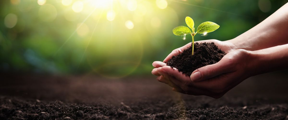 Ipswich sustainability